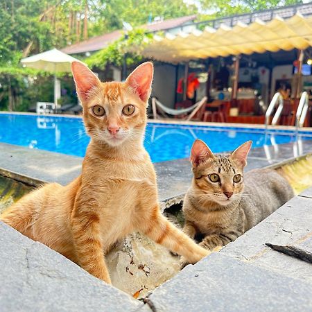 Have Fun Phu Quocヴィラ エクステリア 写真