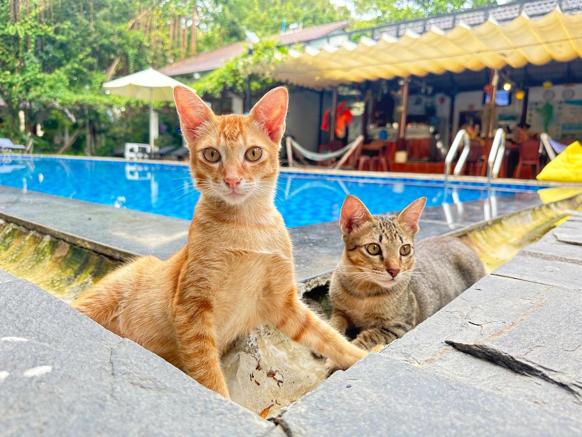 Have Fun Phu Quocヴィラ エクステリア 写真
